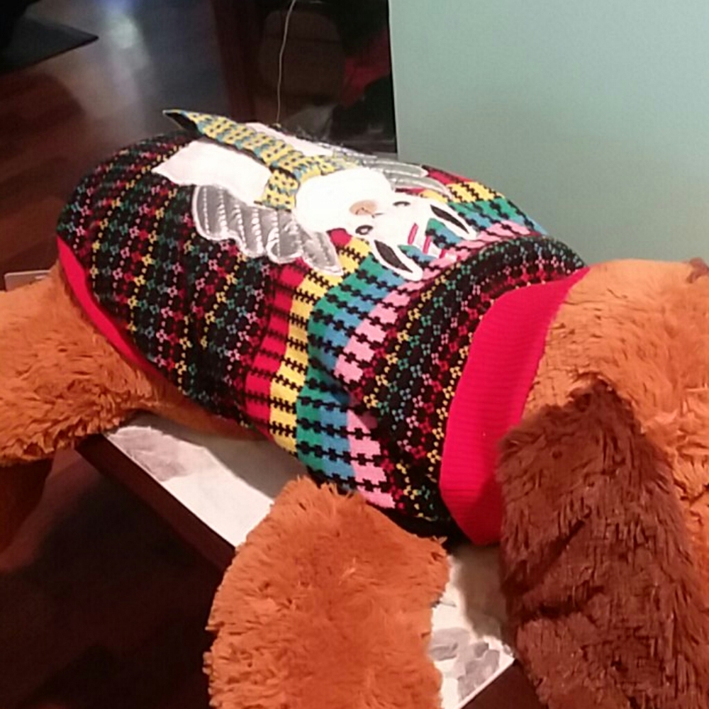 Celtic Look Argyle Puppy Sweater